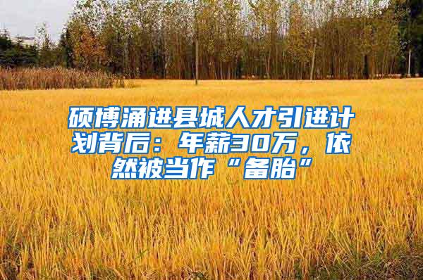 硕博涌进县城人才引进计划背后：年薪30万，依然被当作“备胎”