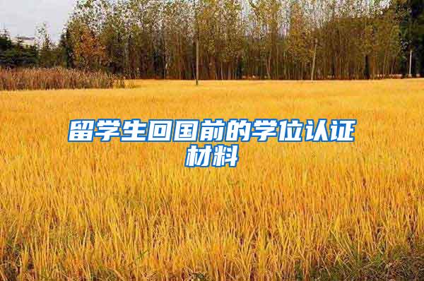 留学生回国前的学位认证材料