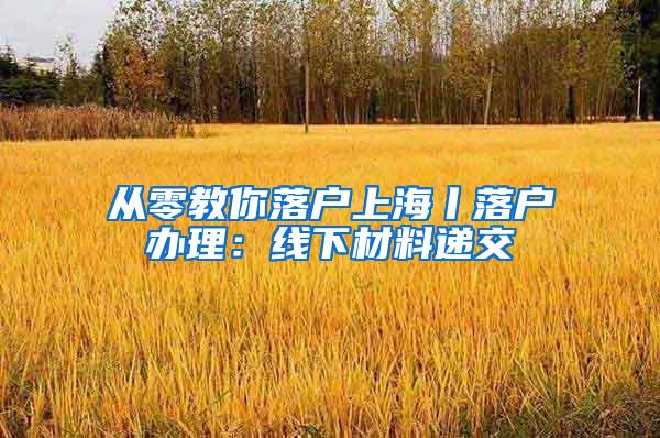 从零教你落户上海丨落户办理：线下材料递交