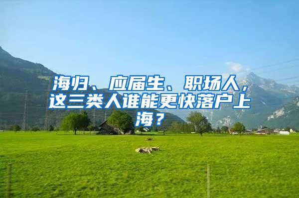 海归、应届生、职场人，这三类人谁能更快落户上海？