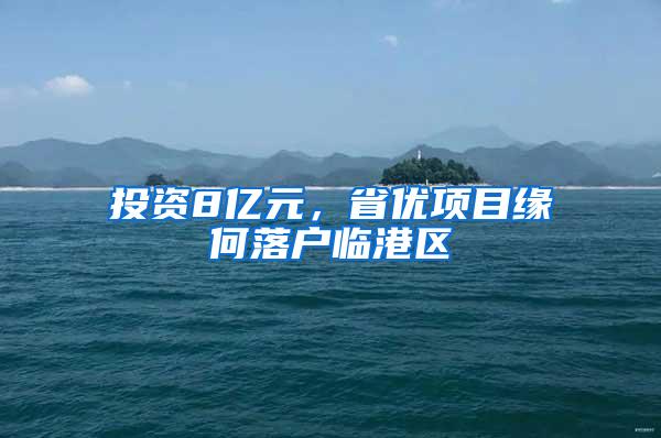 投资8亿元，省优项目缘何落户临港区