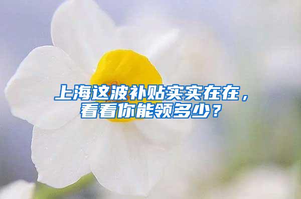 上海这波补贴实实在在，看看你能领多少？