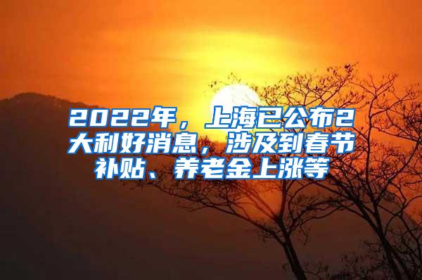 2022年，上海已公布2大利好消息，涉及到春节补贴、养老金上涨等