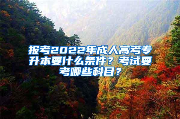 报考2022年成人高考专升本要什么条件？考试要考哪些科目？