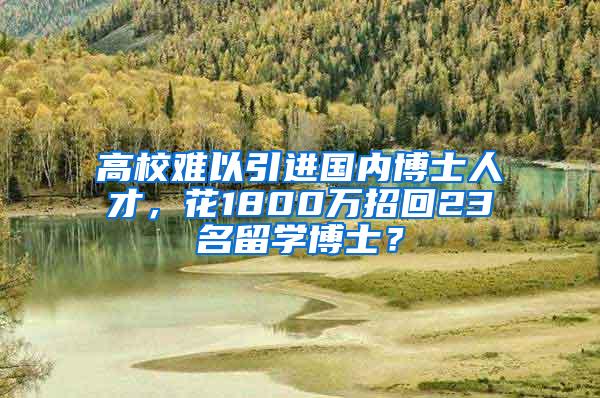 高校难以引进国内博士人才，花1800万招回23名留学博士？