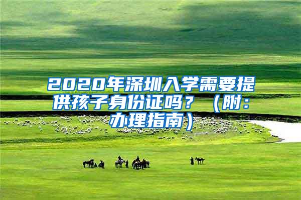 2020年深圳入学需要提供孩子身份证吗？（附：办理指南）