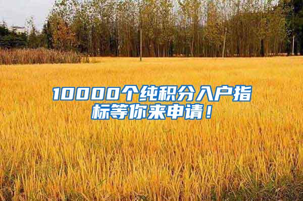 10000个纯积分入户指标等你来申请！