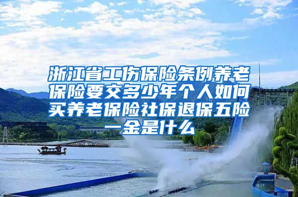 浙江省工伤保险条例养老保险要交多少年个人如何买养老保险社保退保五险一金是什么