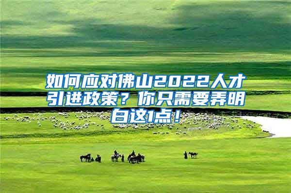 如何应对佛山2022人才引进政策？你只需要弄明白这1点！