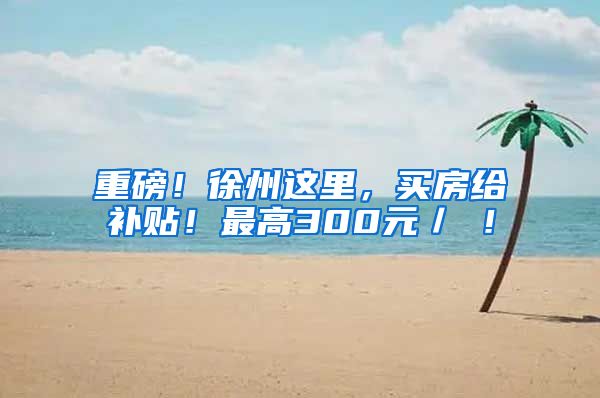 重磅！徐州这里，买房给补贴！最高300元／㎡！