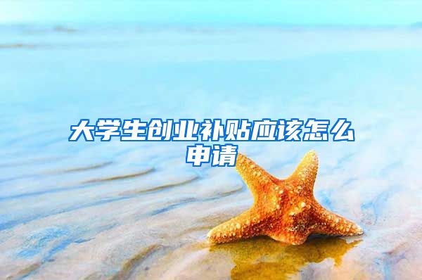 大学生创业补贴应该怎么申请
