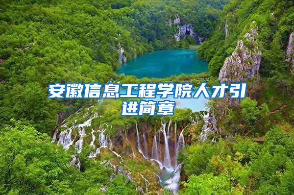 安徽信息工程学院人才引进简章