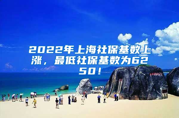 2022年上海社保基数上涨，最低社保基数为6250！