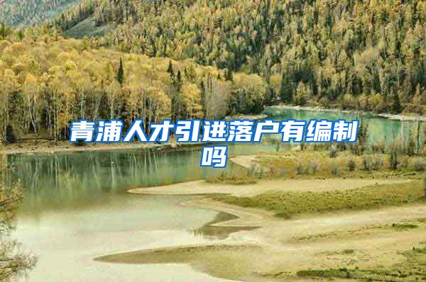 青浦人才引进落户有编制吗