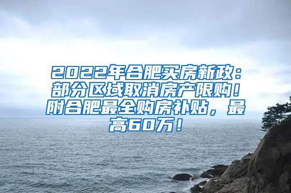 2022年合肥买房新政：部分区域取消房产限购！附合肥最全购房补贴，最高60万！
