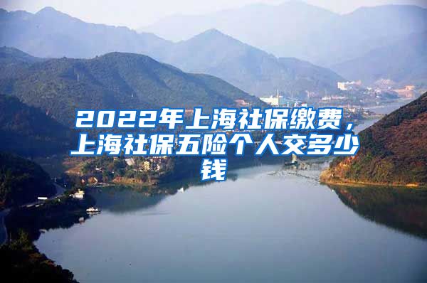 2022年上海社保缴费,上海社保五险个人交多少钱