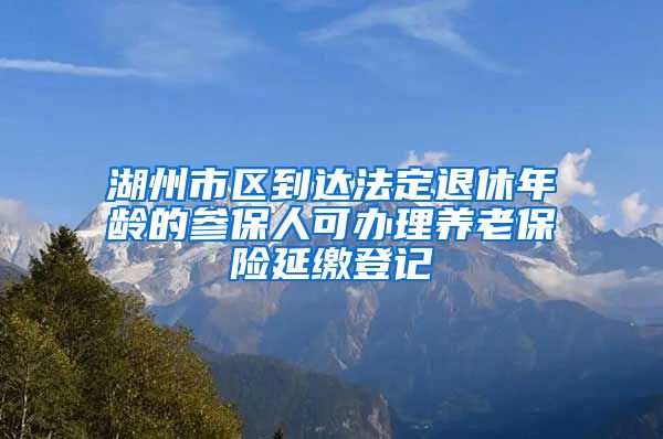 湖州市区到达法定退休年龄的参保人可办理养老保险延缴登记