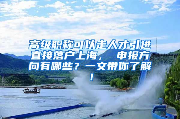 高级职称可以走人才引进直接落户上海， 申报方向有哪些？一文带你了解！