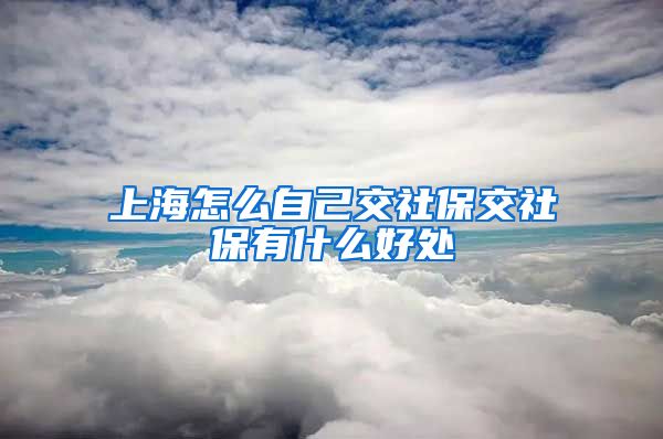 上海怎么自己交社保交社保有什么好处