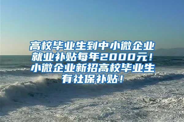 高校毕业生到中小微企业就业补贴每年2000元！小微企业新招高校毕业生有社保补贴！