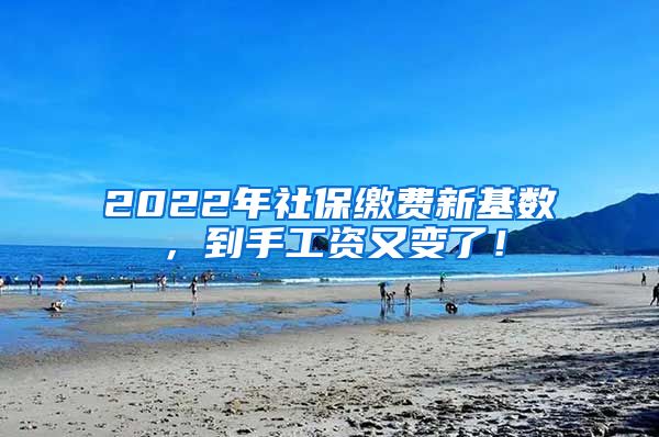 2022年社保缴费新基数，到手工资又变了！