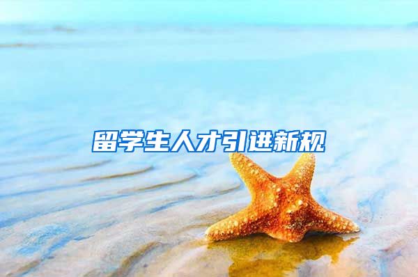 留学生人才引进新规