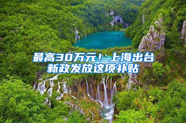 最高30万元！上海出台新政发放这项补贴
