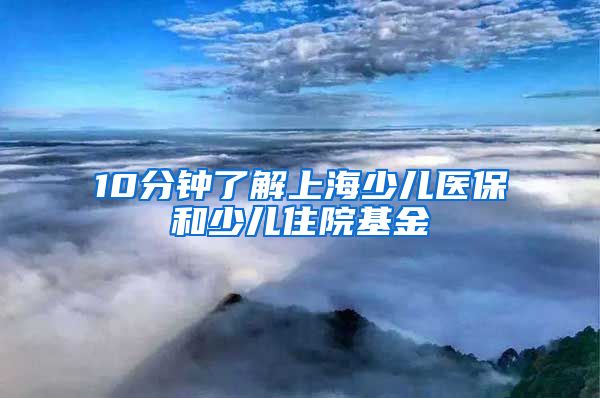 10分钟了解上海少儿医保和少儿住院基金
