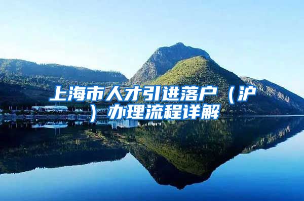 上海市人才引进落户（沪）办理流程详解