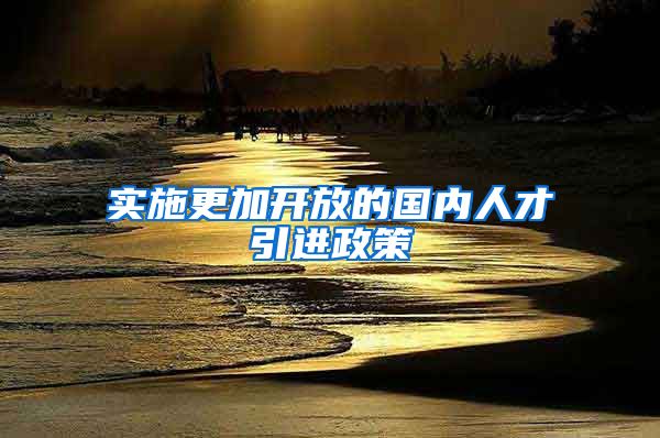 实施更加开放的国内人才引进政策