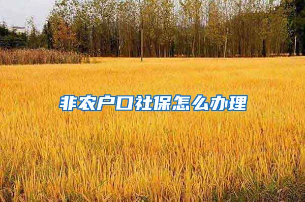 非农户口社保怎么办理
