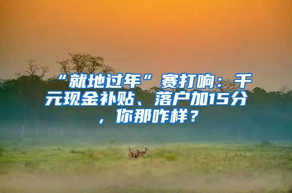 “就地过年”赛打响：千元现金补贴、落户加15分，你那咋样？
