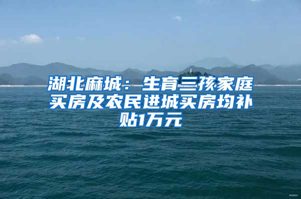 湖北麻城：生育三孩家庭买房及农民进城买房均补贴1万元