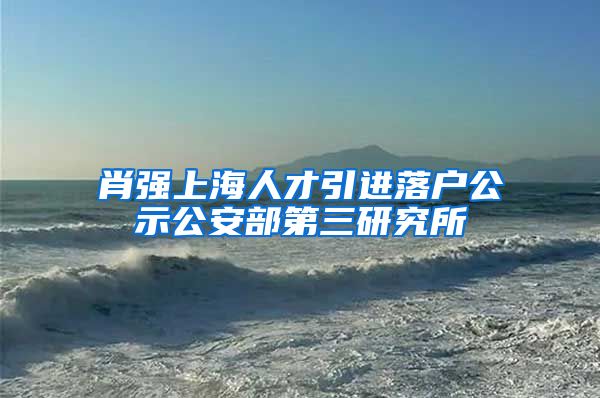 肖强上海人才引进落户公示公安部第三研究所