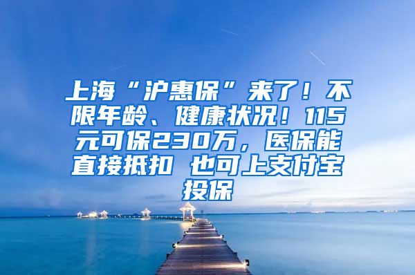 上海“沪惠保”来了！不限年龄、健康状况！115元可保230万，医保能直接抵扣 也可上支付宝投保