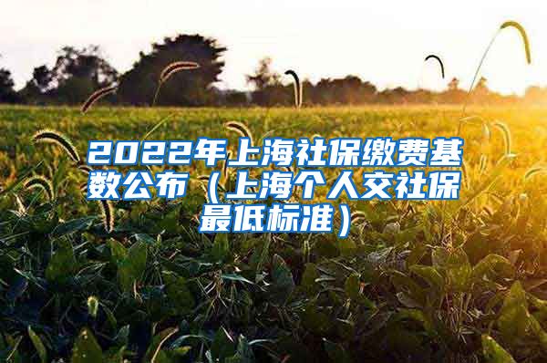 2022年上海社保缴费基数公布(上海个人交社保最低标准)