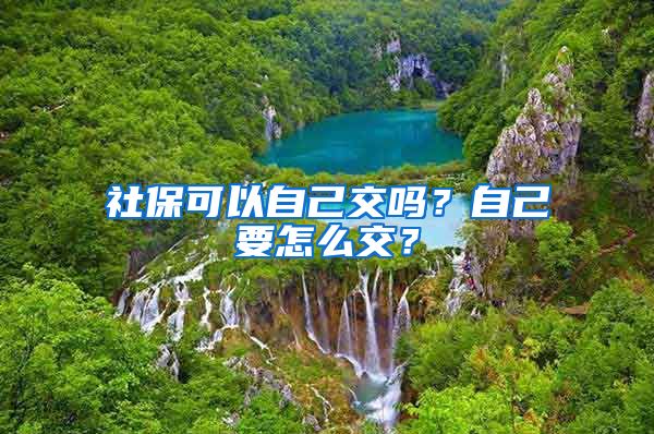 社保可以自己交吗？自己要怎么交？