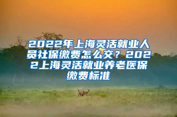 2022年上海灵活就业人员社保缴费怎么交？2022上海灵活就业养老医保缴费标准