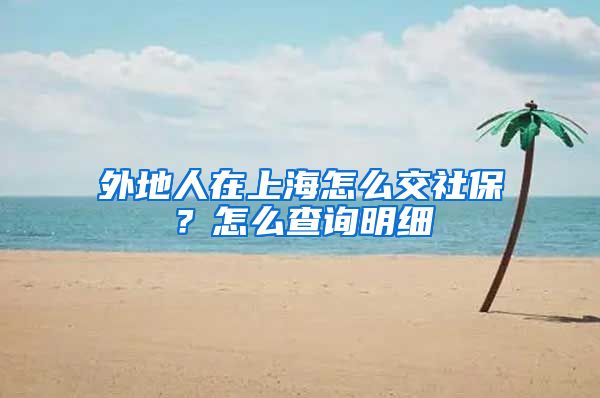 外地人在上海怎么交社保？怎么查询明细