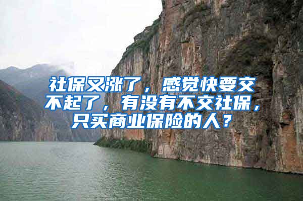 社保又涨了,感觉快要交不起了,有没有不交社保,只买商业保险的人?