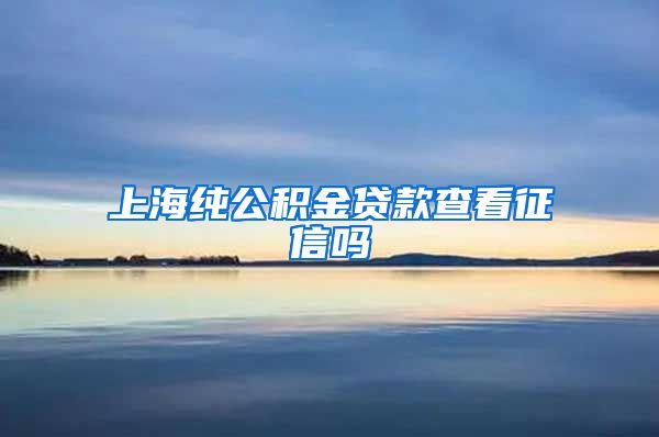 上海纯公积金贷款查看征信吗