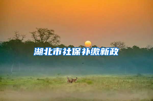 湖北市社保补缴新政