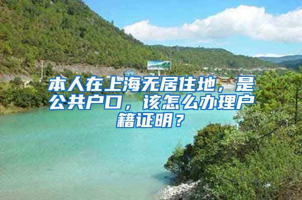 本人在上海无居住地,是公共户口,该怎么办理户籍证明?