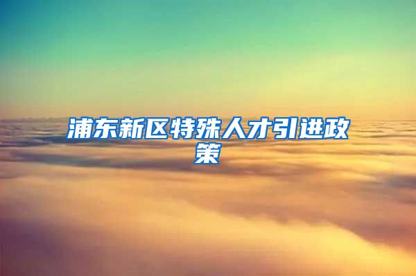 浦东新区特殊人才引进政策