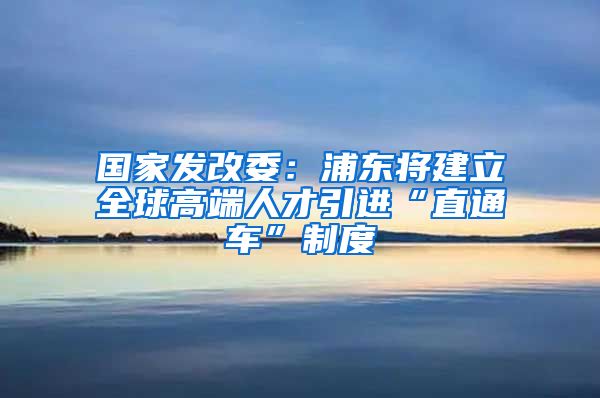 国家发改委：浦东将建立全球高端人才引进“直通车”制度