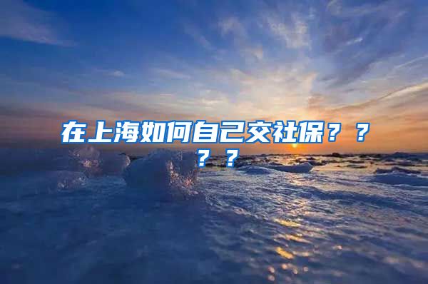 在上海如何自己交社保????