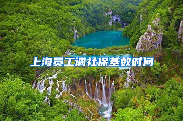 上海员工调社保基数时间