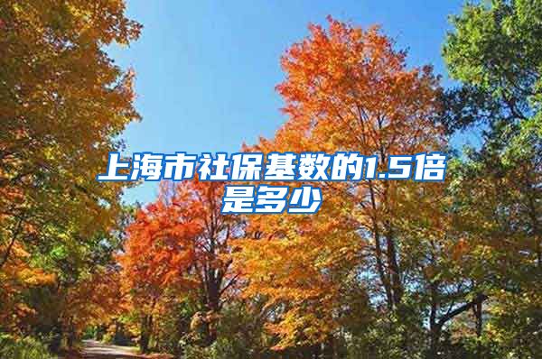 上海市社保基数的1.5倍是多少