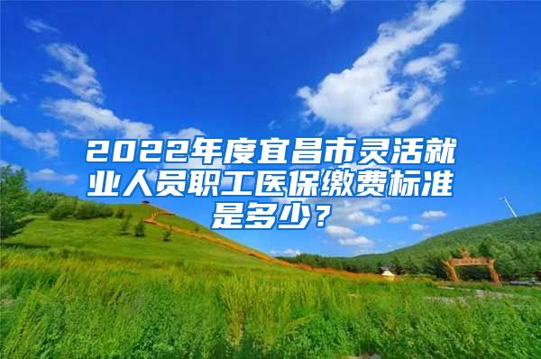 2022年度宜昌市灵活就业人员职工医保缴费标准是多少?