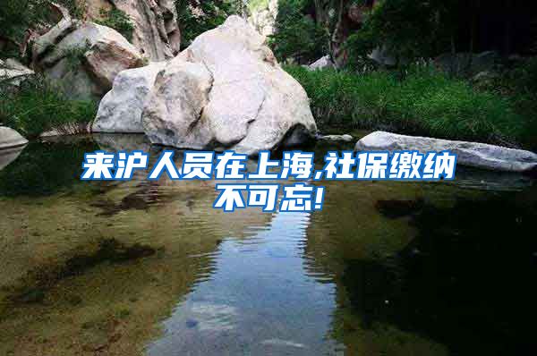 来沪人员在上海,社保缴纳不可忘!